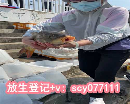 溺水，从生到死的挣扎过程是这样的