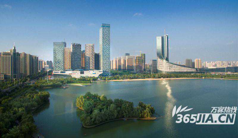 我与世界和解——芭蕉树篇