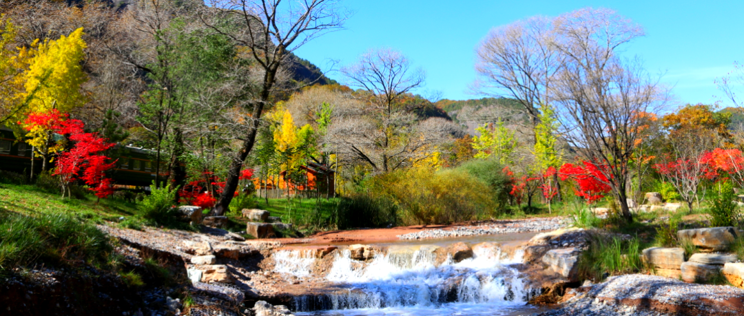 从鼻子看你的婚姻是祸是福