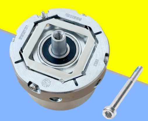 生肖兔的婚姻：温润如玉的爱情与和谐共生的智慧