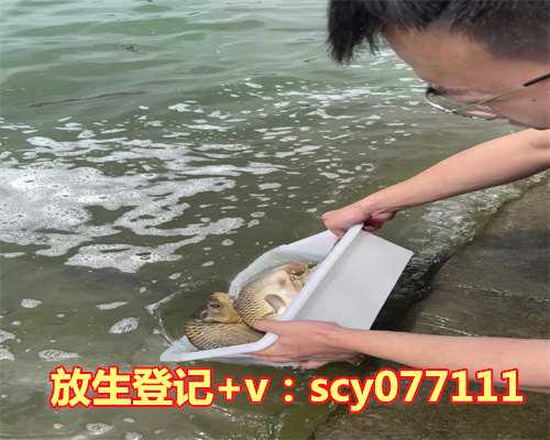 生性懒惰，运气却很好的4大星座女，一辈子衣食无忧，有你吗