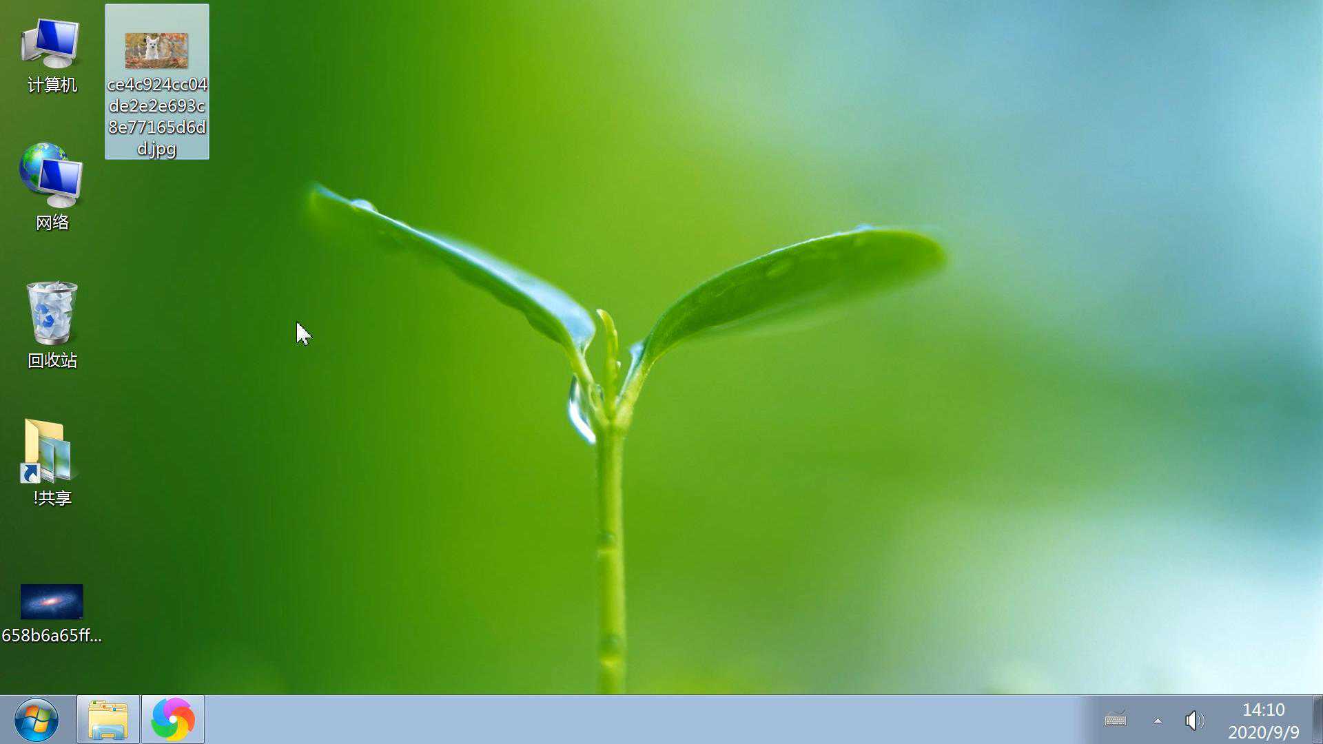 狮子座5月财富升级：多线并进，收获正偏财