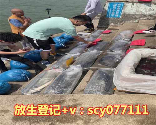 生肖龙的事业、运势、爱情与健康指南