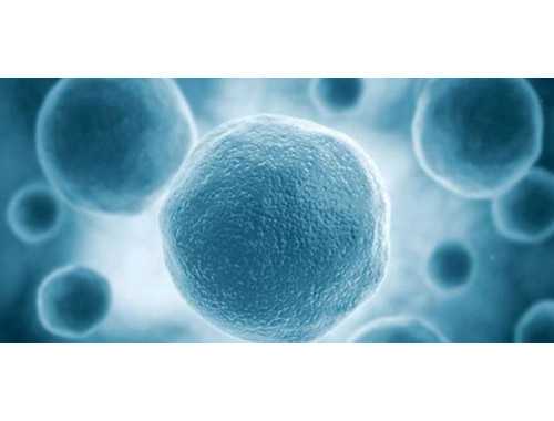 拥有凤凰命的星座，他们如何实现人生逆袭