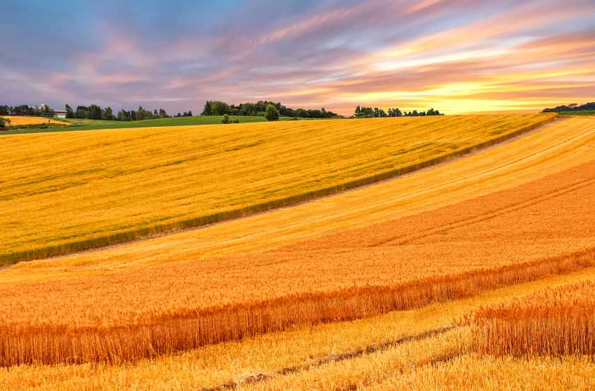 你发现没，那些过得好的夫妻，家庭和谐，其实都有个相似之处