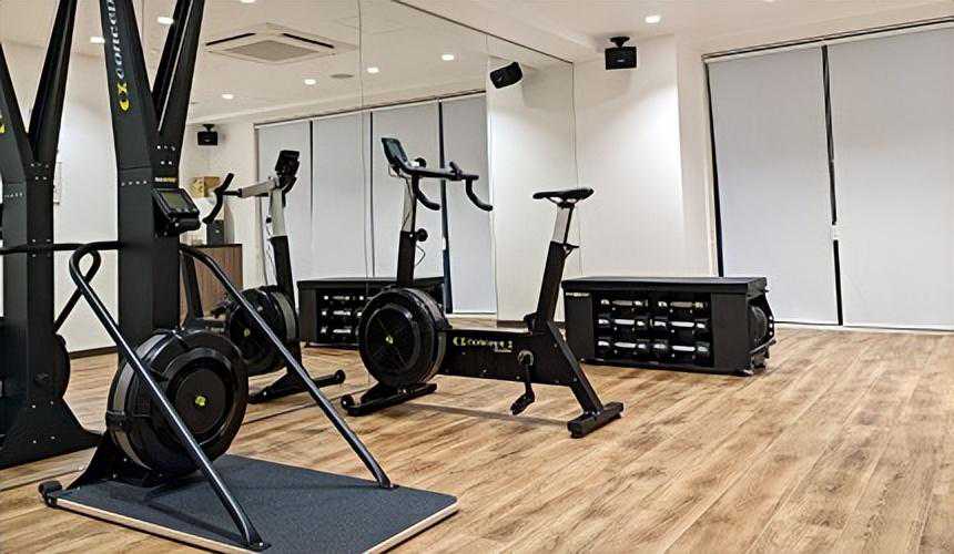 羊年12生肖运势预报：狗