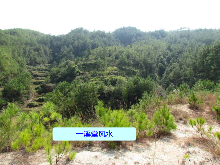 生肖龙：1988年37岁的你，真龙抬头，紫气东来，此刻不飞更待何时