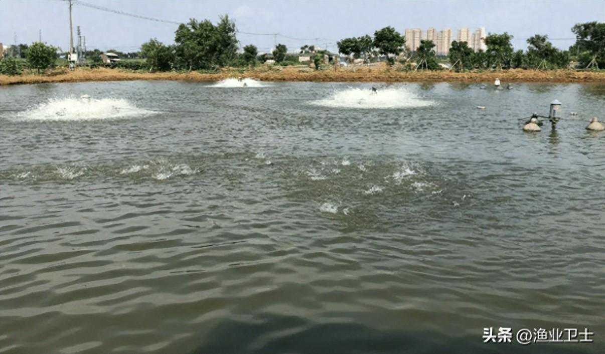 2025年4月26日十二生肖运势与五行穿衣指南：解锁命理密码