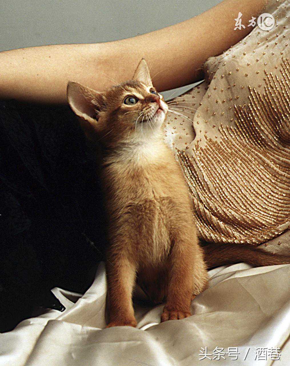 星座年运：天蝎座2025年度综合运势分析