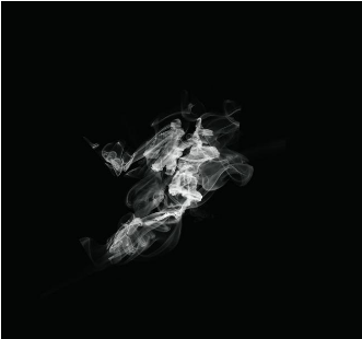 心理测试- 你想在家里放哪盆花，测你下一周有什么好事