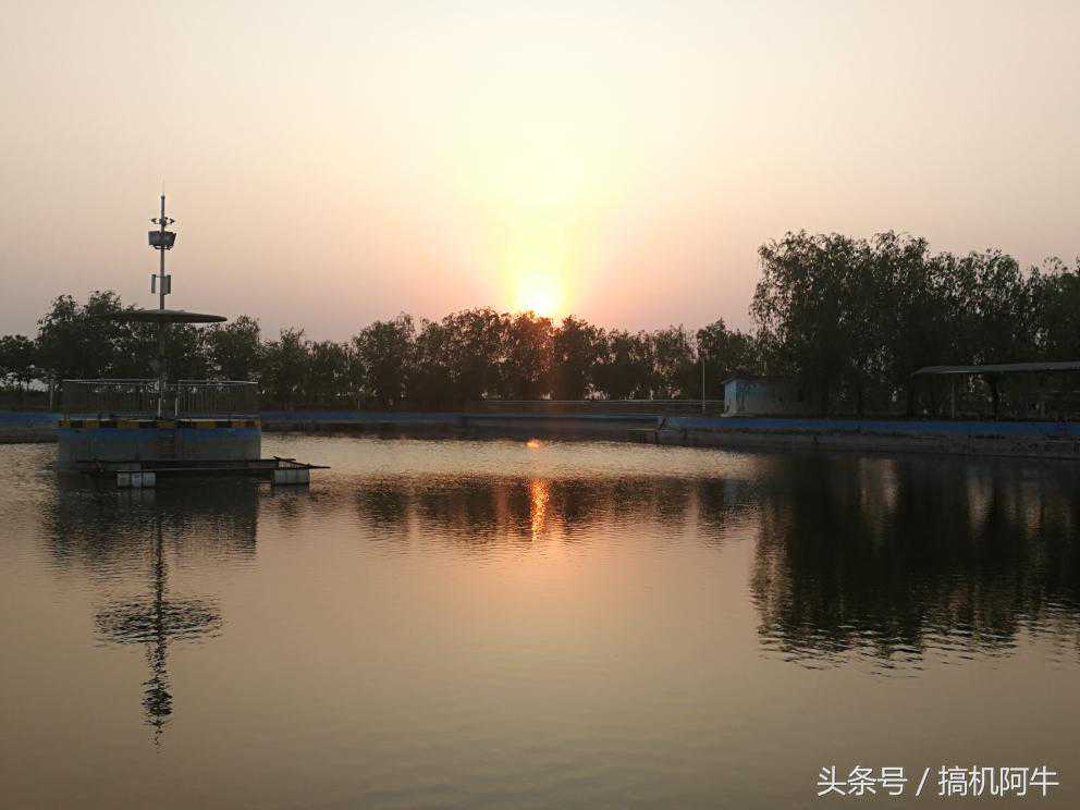 不容错过！4月25日生肖羊运势大揭秘，错失良机意味着一整年遗憾