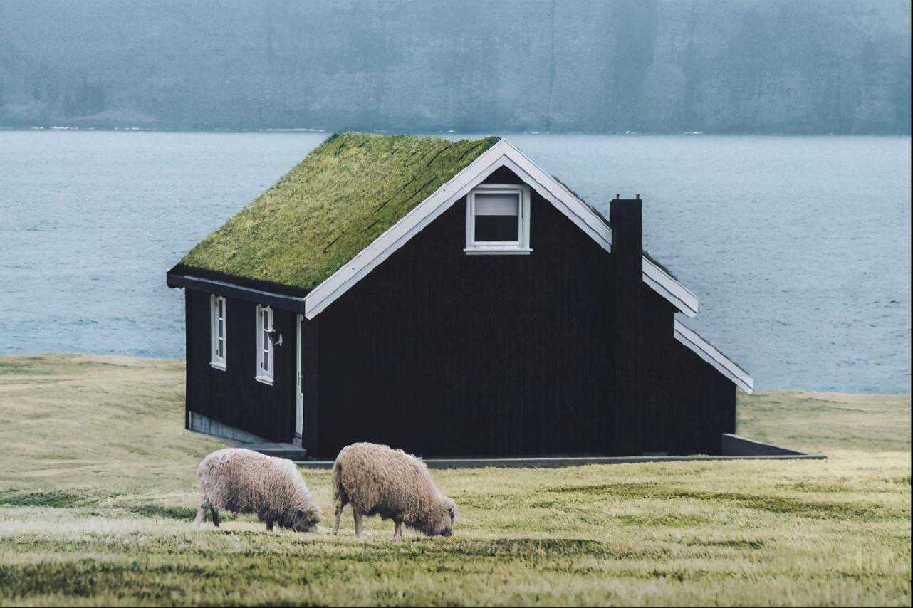 2025属马人：历经桃花迷障，年末拥抱一生所爱