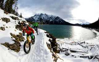 选一个你认为最有“福气”的摆件，看看你近期的财运走向如何