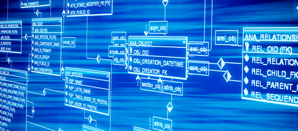 属兔的人运气怎么样？？？