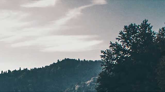 属蛇人必知！本周小挑战、大财运，攻略在此