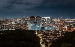 不管有钱没钱，这几种动物出现在家里，不要驱赶，说明好运要来了